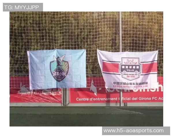 足球队旗图片展示各国足球文化与团队精神的视觉盛宴